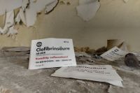 Bild (5)